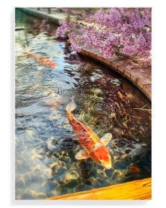 Koi Fish Serenity Print