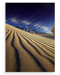 Desert Dunes Serenity