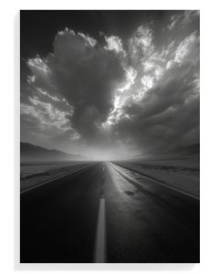 Dramatic Roadway Monochrome