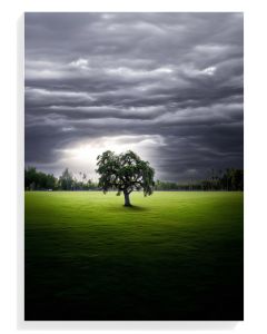 Solitary Tree Under Stormy Sky