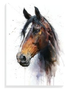 Majestic Horse Watercolor