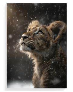 Snowy Lion Cub Portrait