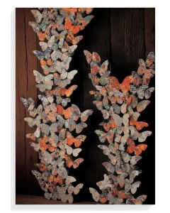 Colorful Butterfly Cascade