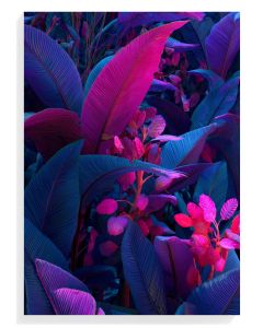 Vibrant Tropical Foliage