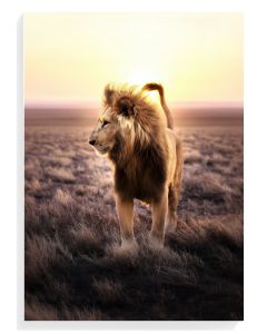 Majestic Lion Silhouette