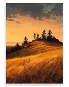 Golden Meadow Sunset