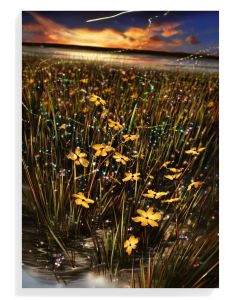 Golden Wildflowers at Dusk