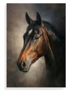 Majestic Horse Portrait