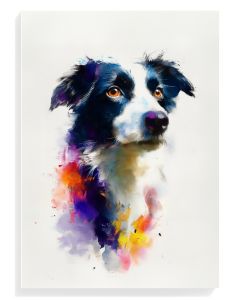 Border Collie Watercolor Art