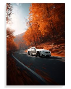 Autumn Drive Elegance