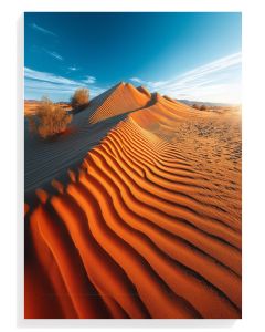 Desert Dunes Serenity