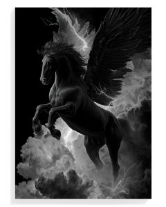 Mythical Black Pegasus