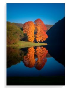 Autumn Reflections