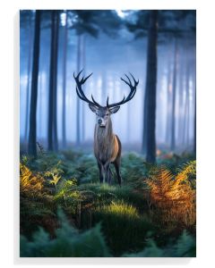 Majestic Stag in Mist