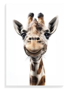 Smiling Giraffe Portrait