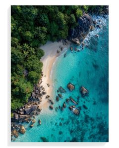 Tropical Beach Serenity