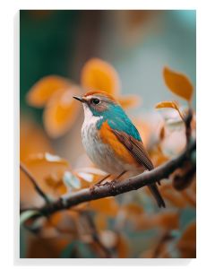 Colorful Bird in Autumn