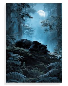 Midnight Panther Serenity