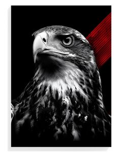 Majestic Hawk Portrait