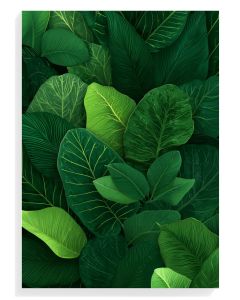 Lush Green Leaf Collage