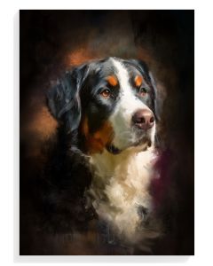 Bernese Mountain Dog Portrait