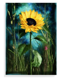Sunflower Dreamscape