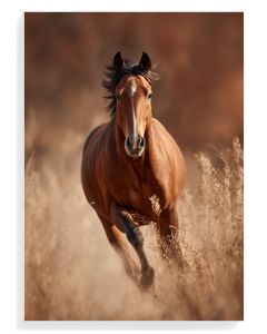 Majestic Horse Running