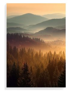 Misty Forest Sunrise