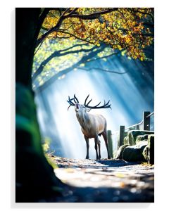 Majestic Stag in Sunlight