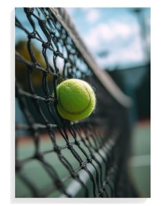 Tennis Ball On Net