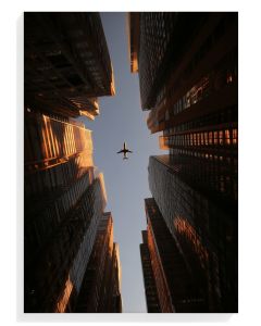 Urban Flight at Dusk