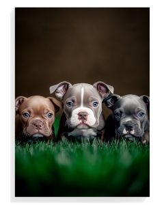 Puppy Trio Portrait