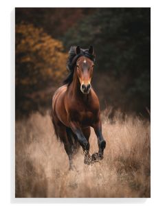 Majestic Running Horse