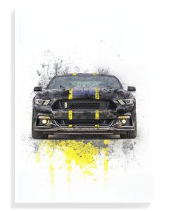 Bold Mustang Splash Art