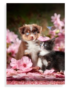 Playful Pets in Bloom