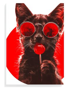 Cool Cat With Lollipop