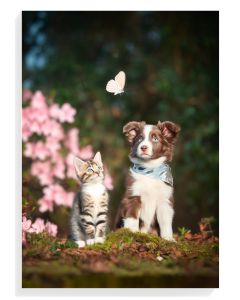 Playful Companions in Bloom