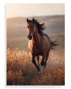 Majestic Running Horse