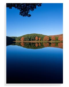 Autumn Reflections Serenity
