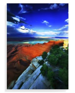 Desert Vista Serenity