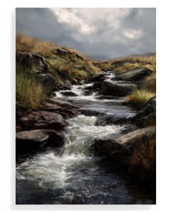 Serene Stream Landscape