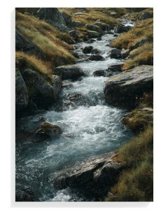Serene Mountain Stream