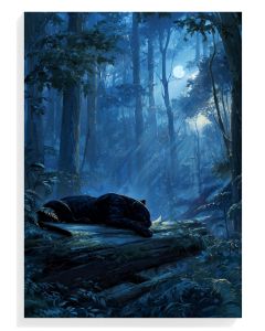 Majestic Panther in Moonlight
