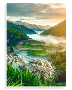 Serene Rice Terraces Landscape