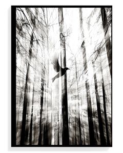 Ethereal Bird in Forest