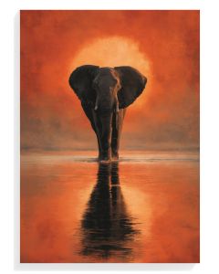 Majestic Elephant Sunset