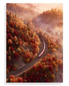 Autumn Train Journey