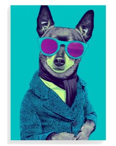 Stylish Dog Portrait