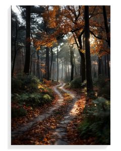 Autumn Forest Path