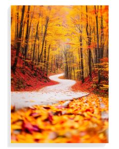 Autumn Pathway Serenity